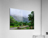 Hawaii Fog 2  Acrylic Print