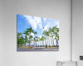 Hawaii Palms  Acrylic Print