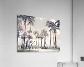 Hawaii Palms BW II  Acrylic Print