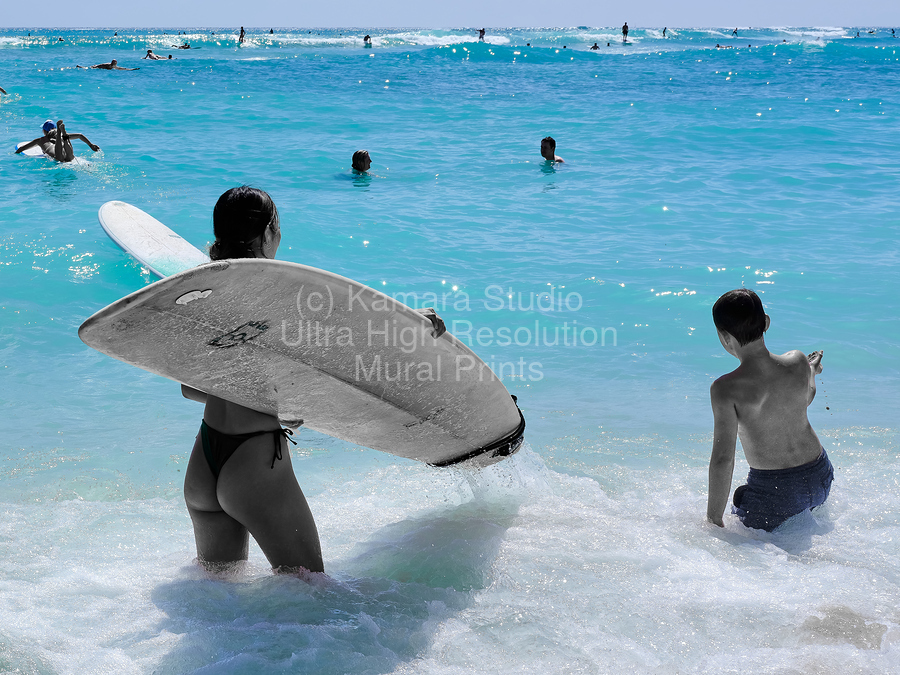 Hawaii Surfing  Print