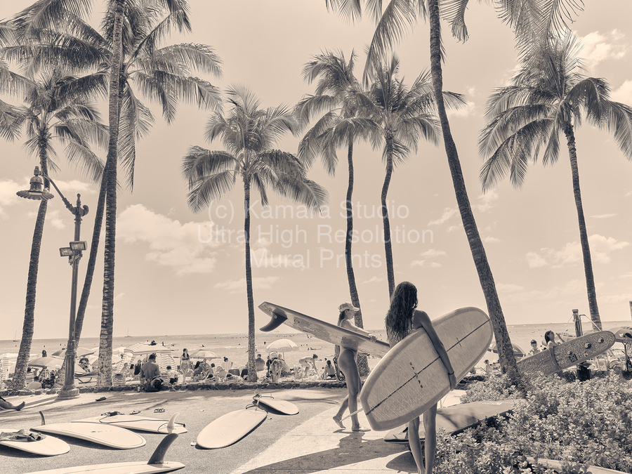 Hawaii Surfing II  Print