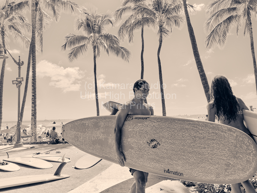 Hawaii Surfing III  Print
