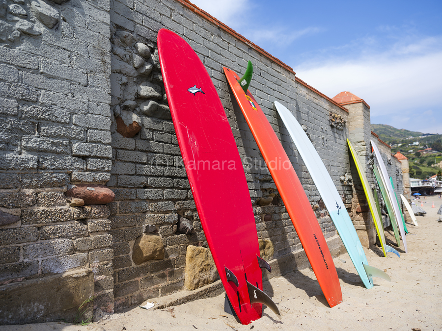 Surfboards  Print