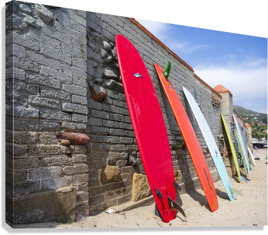 Surfboards  Canvas Print