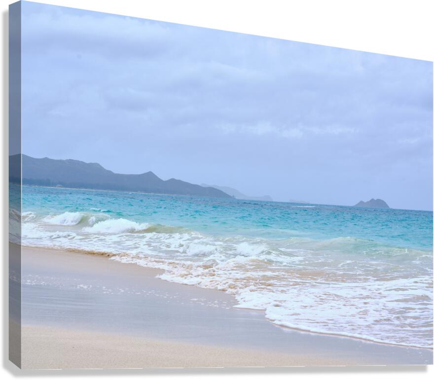 Hawaii Sand Beach  Canvas Print