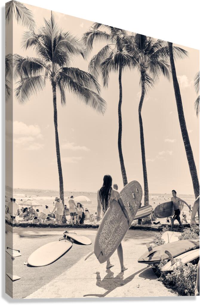 Hawaii Surfing I  Canvas Print