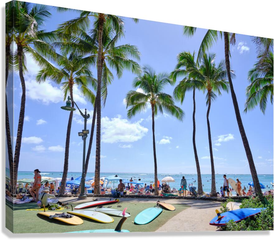 Hawaii Palms Surfboards  Canvas Print