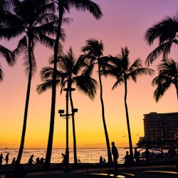 Hawaii Sunset