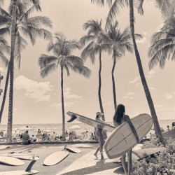 Hawaii Surfing II
