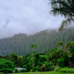 Hawaii Fog 3