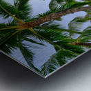Hawaii Palms Sky Metal print