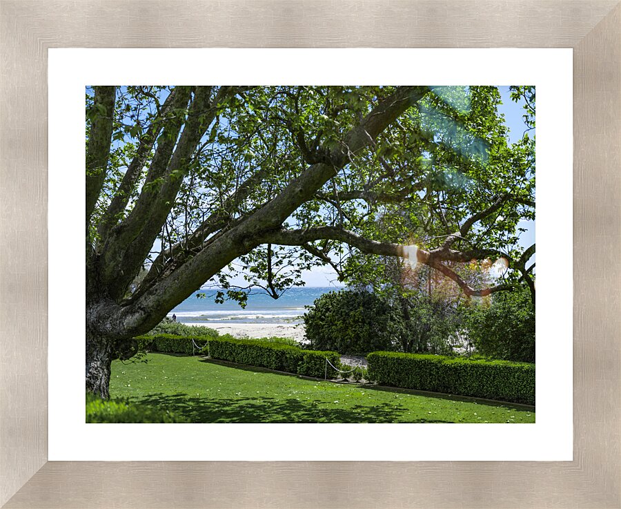 Beach Lawn  Framed Print Print