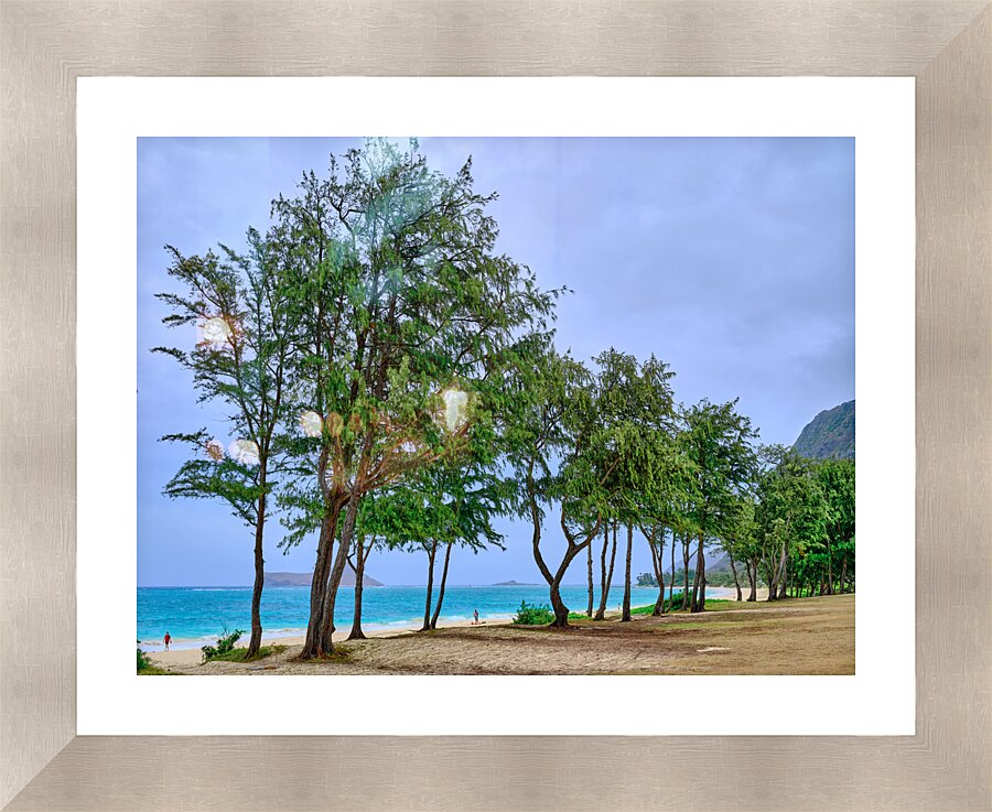 Hawaii Trees 3  Framed Print Print