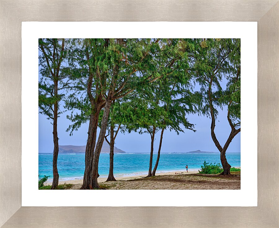Hawaii Trees 4  Framed Print Print