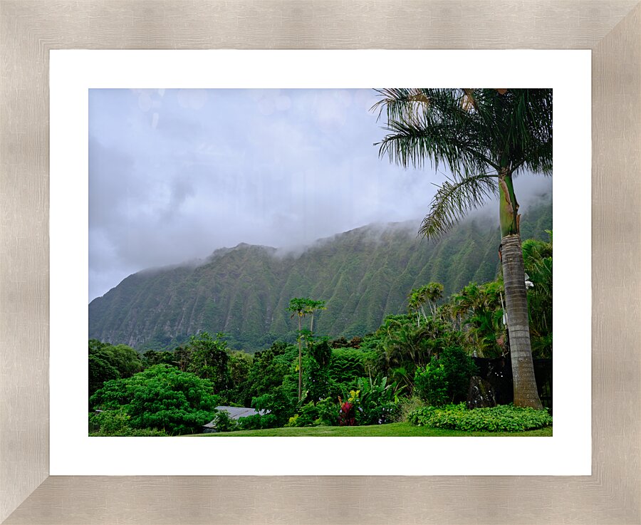Hawaii Fog 3  Framed Print Print