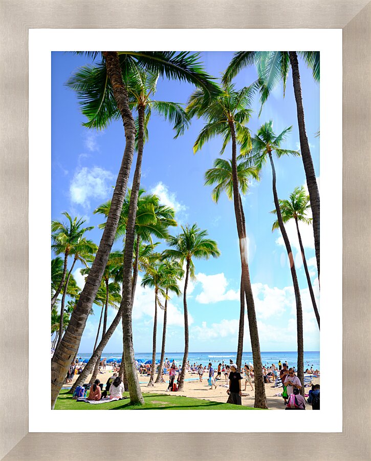 Hawaii Palms Beach 2  Framed Print Print