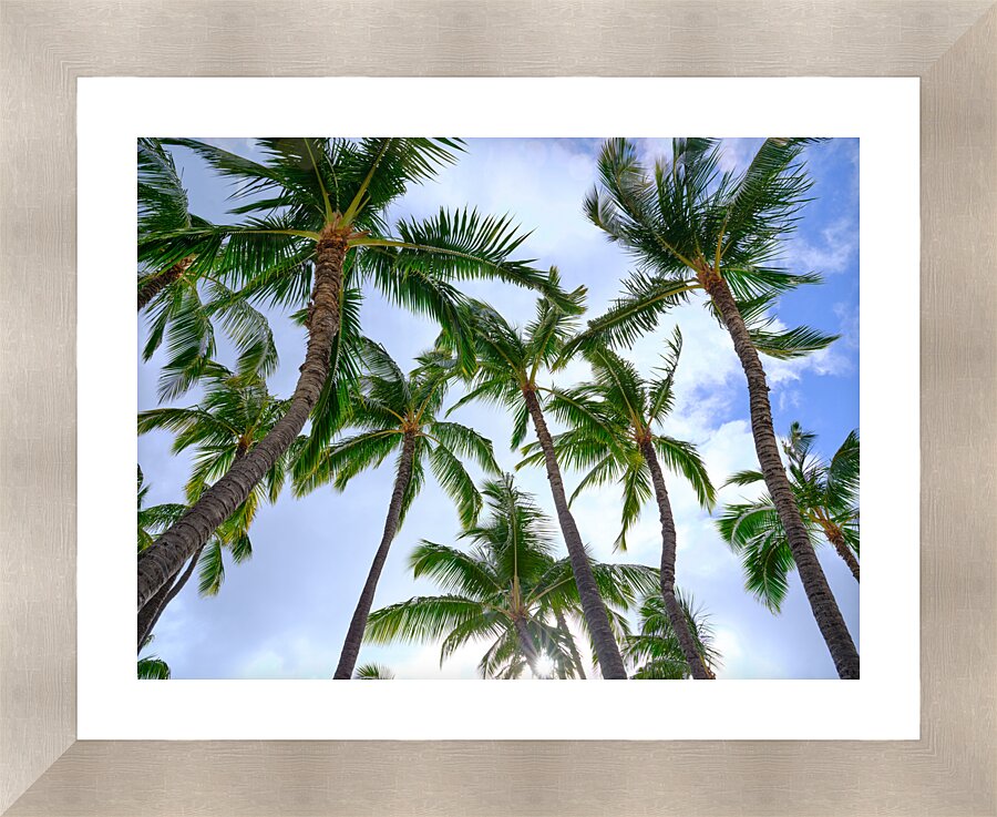 Hawaii Palms Sky  Framed Print Print