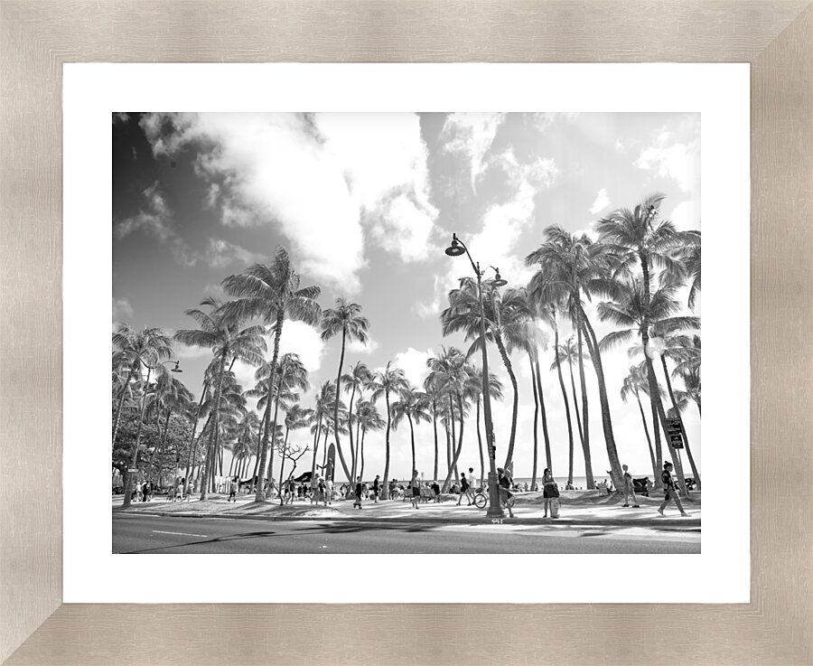 Hawaii Palms BW  Framed Print Print