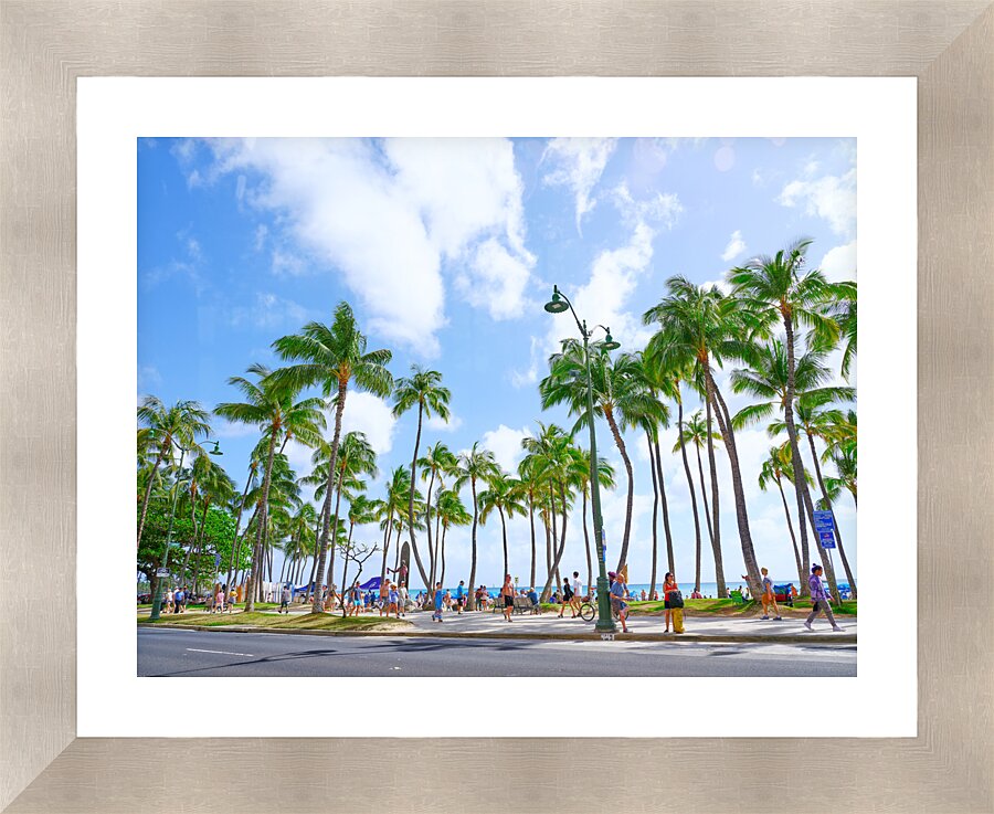 Hawaii Palms  Framed Print Print