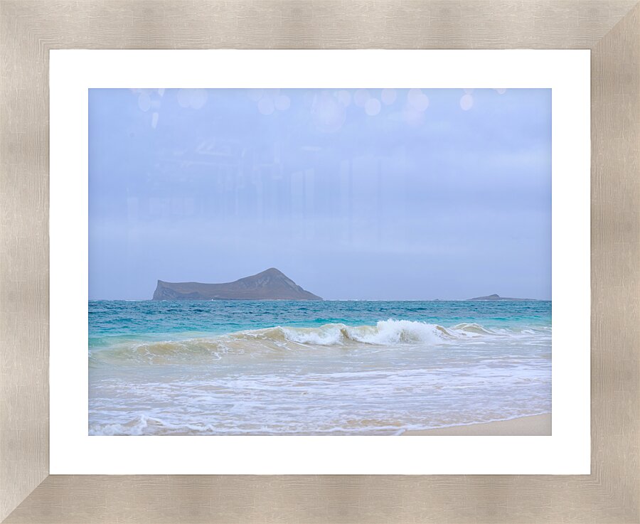 Hawaii Sand Beach 2  Framed Print Print