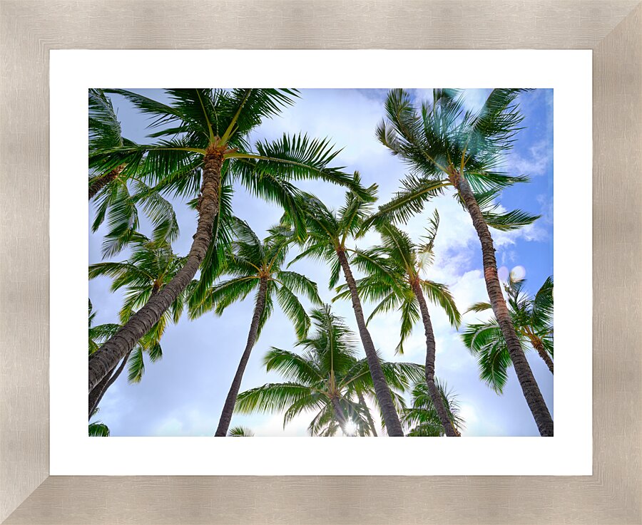 Hawaii Palms Sky  Framed Print Print