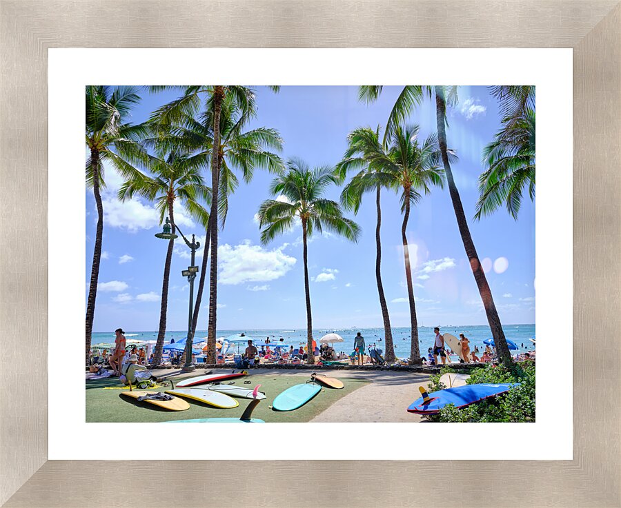 Hawaii Palms Surfboards  Framed Print Print