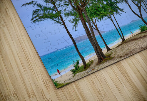 Hawaii Trees 3 Kamara Studio   Ultra High Resolution Mural Prints puzzle