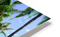 Hawaii Palms Beach 2 HD Metal print