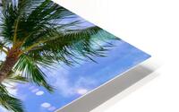 Hawaii Palms Sky HD Metal print