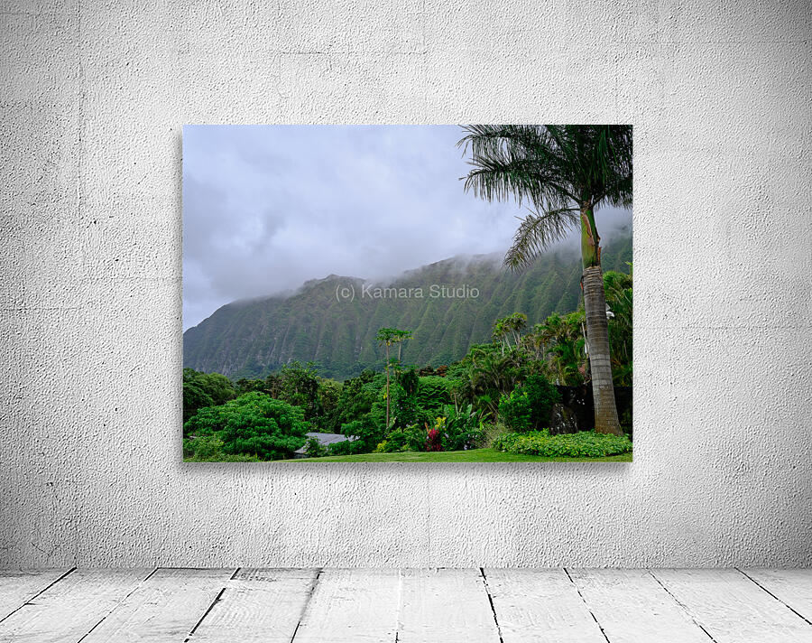 Hawaii Fog 3 by Kamara Studio   Ultra High Resolution Mural Prints