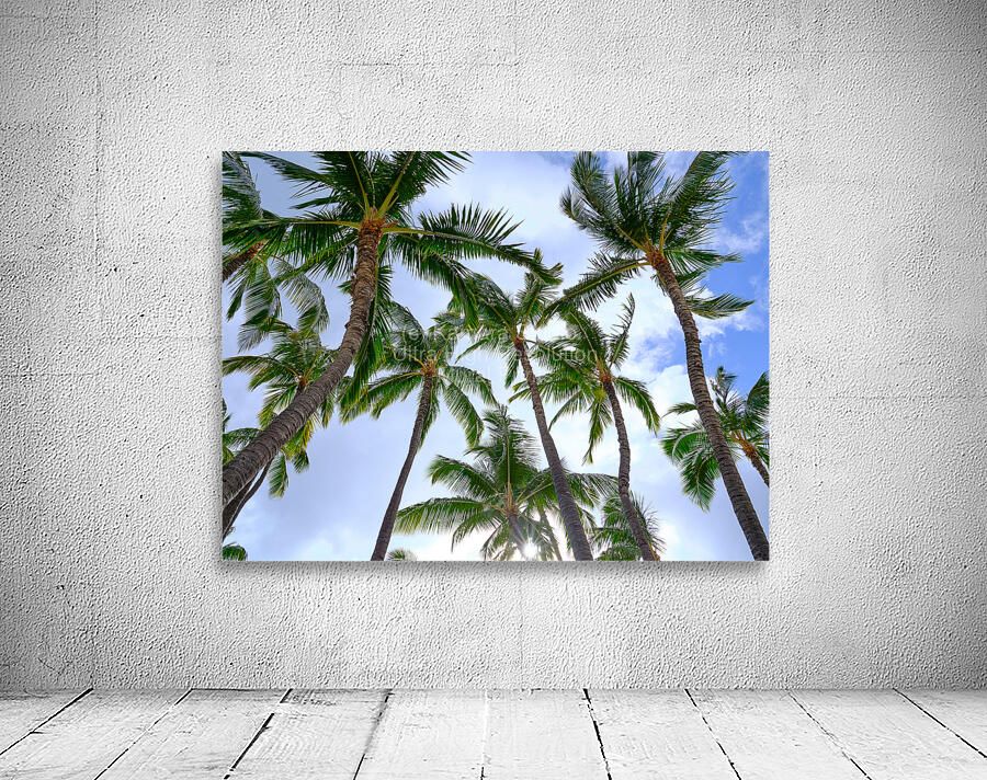 Hawaii Palms Sky by Kamara Studio   Ultra High Resolution Mural Prints