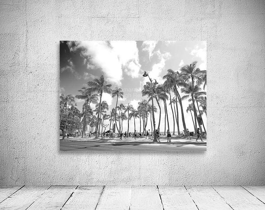 Hawaii Palms BW by Kamara Studio   Ultra High Resolution Mural Prints