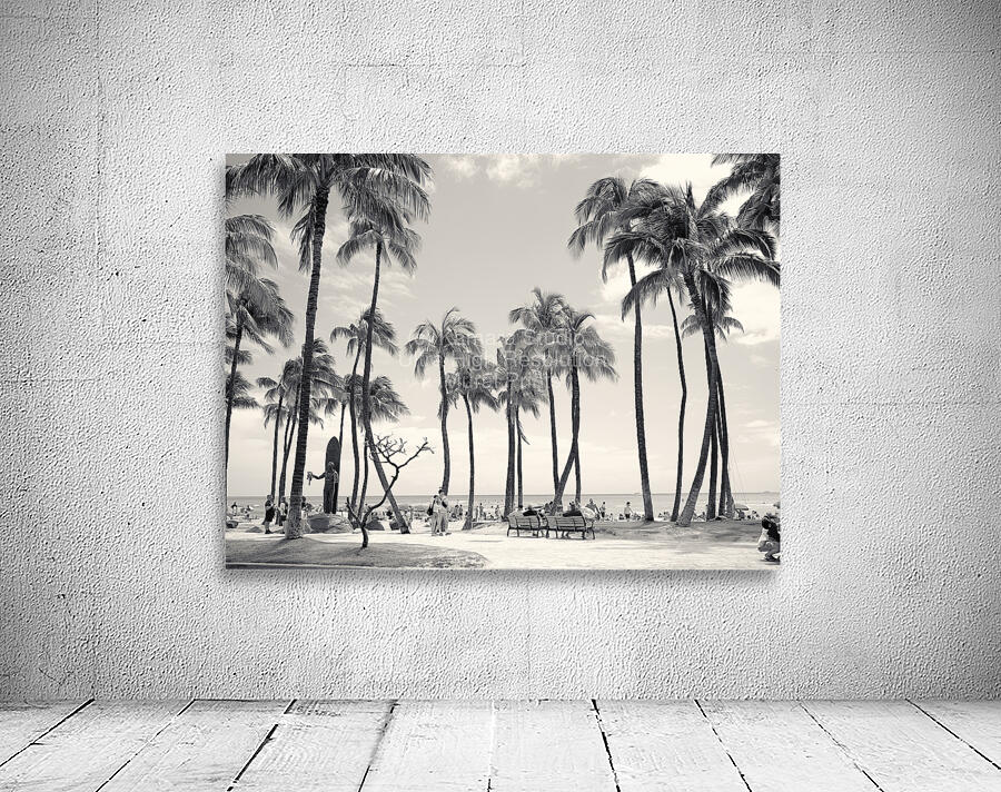Hawaii Palms BW II by Kamara Studio   Ultra High Resolution Mural Prints