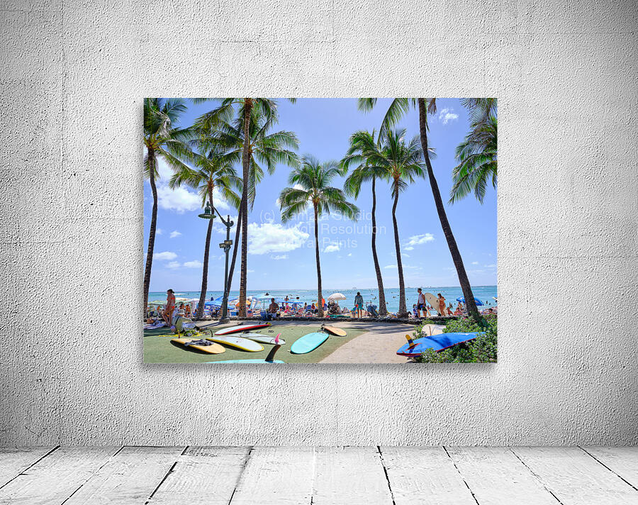 Hawaii Palms Surfboards by Kamara Studio   Ultra High Resolution Mural Prints