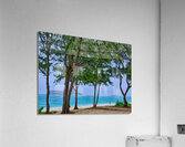 Hawaii Trees 4  Impression acrylique