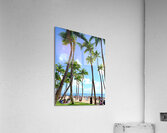Hawaii Palms Beach 2  Impression acrylique
