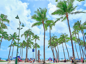 Hawaii Palms Duke Statue