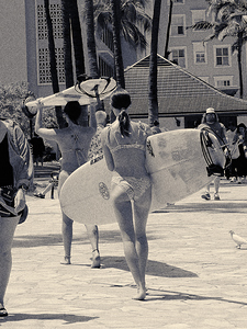 Hawaii Surf Grils BW