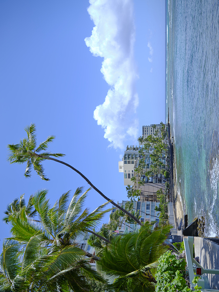 Hawaii Blue Ocean Print