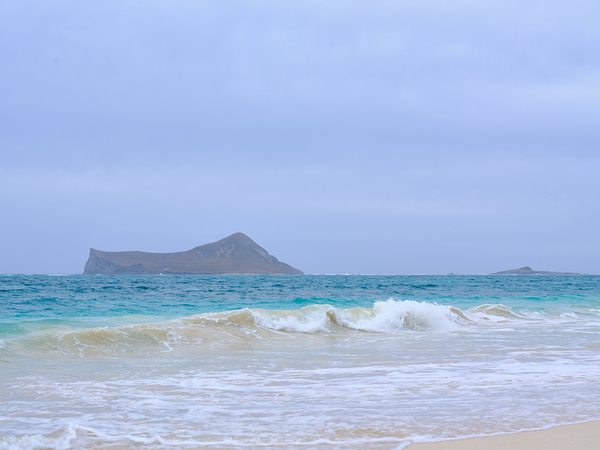 Hawaii Sand Beach 2 Print