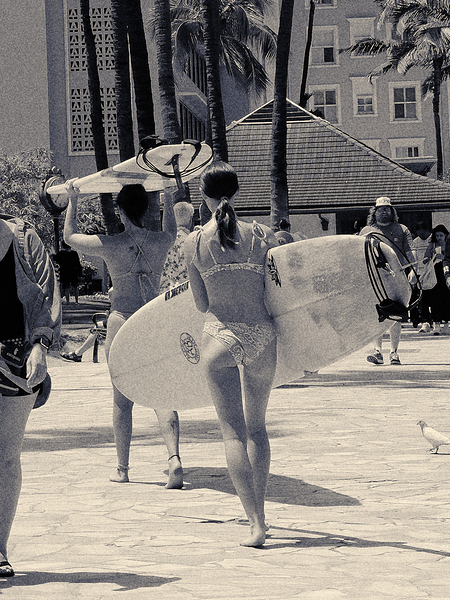 Hawaii Surf Grils BW Print