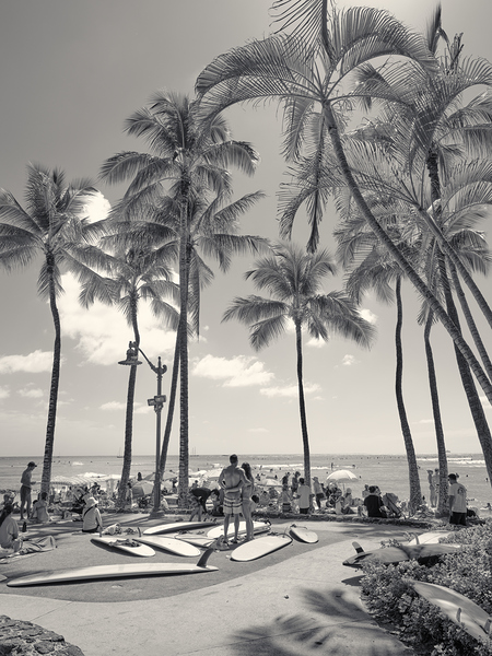 Hawaii Waikiki Print