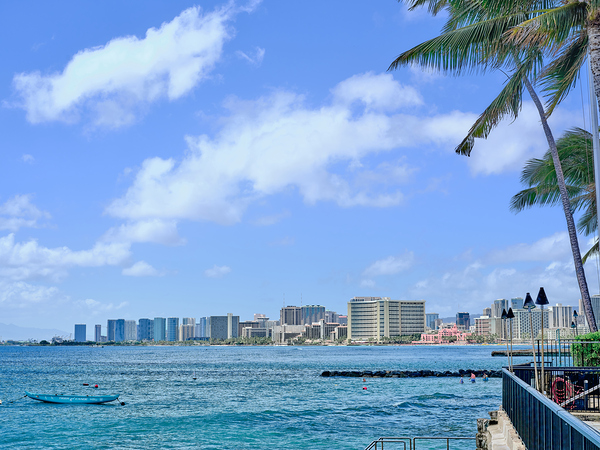 Hawaii Waikiki Club Print