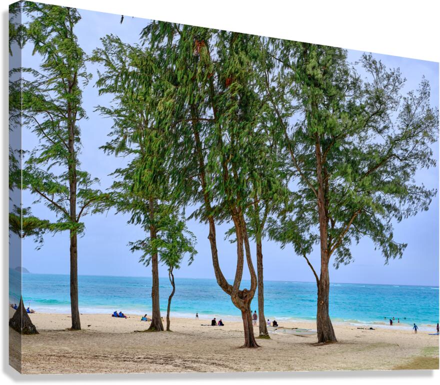 Hawaii Trees 2  Impression sur toile