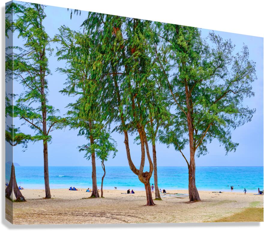 Hawaii Trees  Impression sur toile
