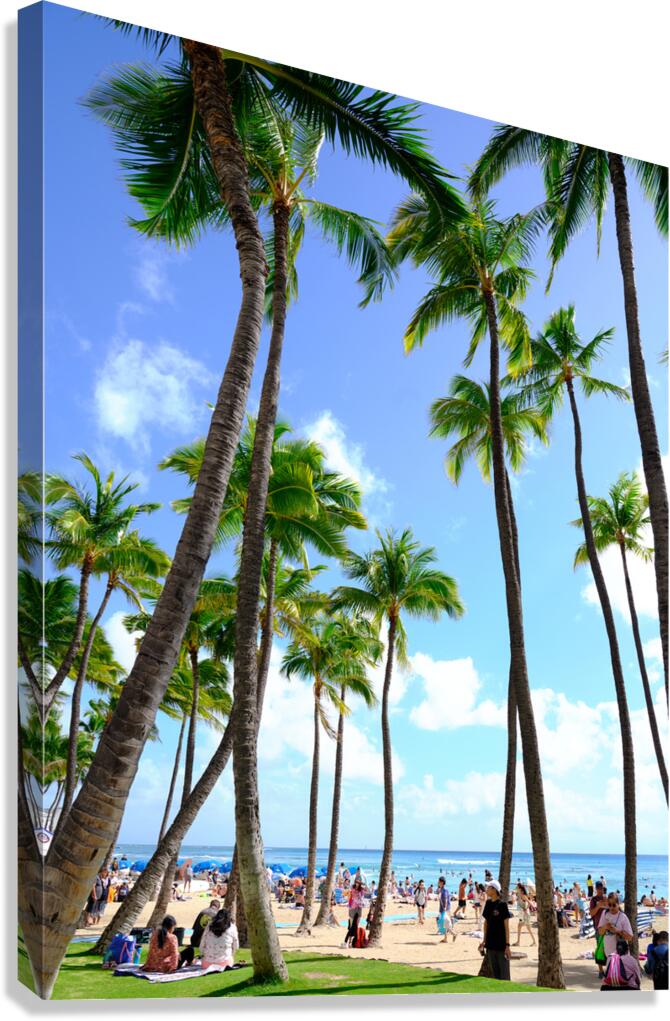 Hawaii Palms Beach 2  Impression sur toile