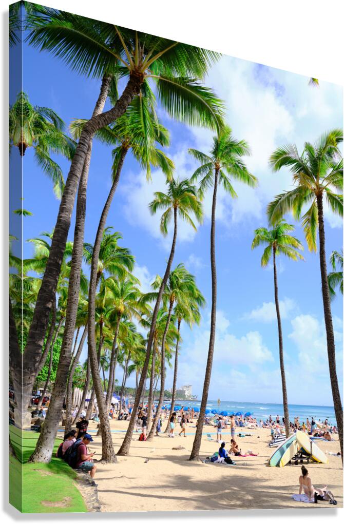Hawaii Palms Beach  Impression sur toile