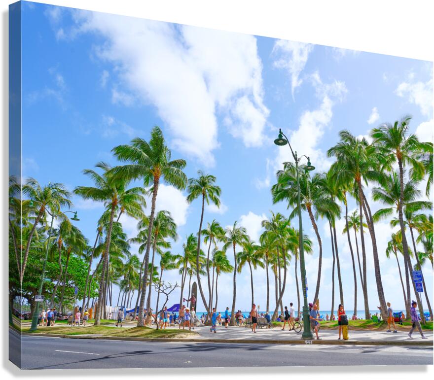 Hawaii Palms  Impression sur toile