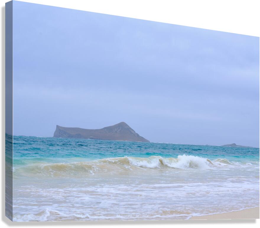 Hawaii Sand Beach 2  Impression sur toile