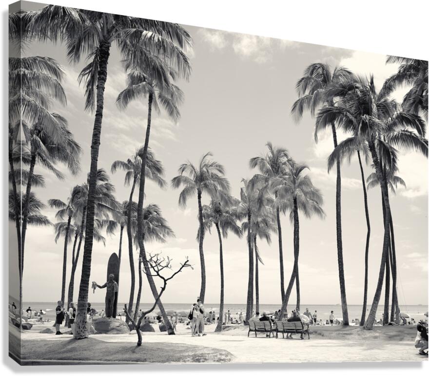 Hawaii Palms BW II  Impression sur toile